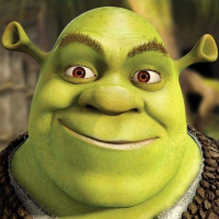 shrek451